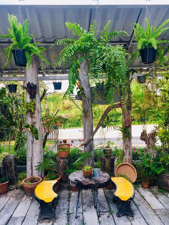 Mech Mansion Hotel Chiang Rai Eksteriør billede